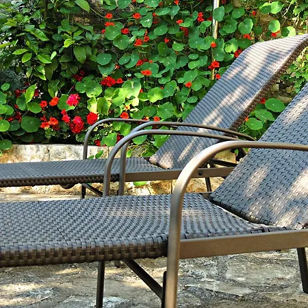 Tatil Evi Regi House
