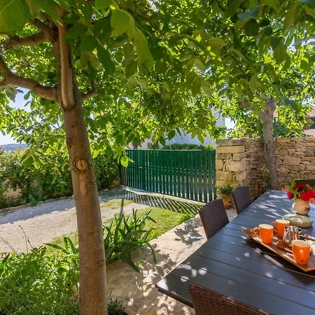 Regi House Tatil Evi