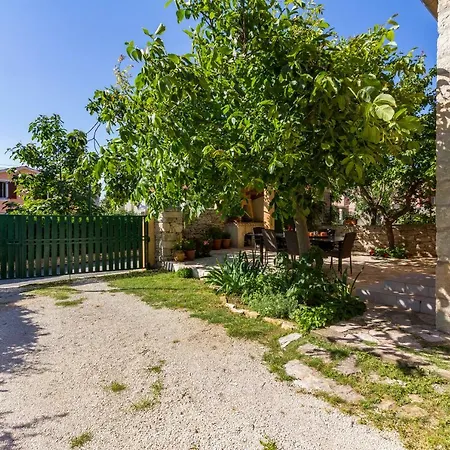 Tatil Evi Regi House