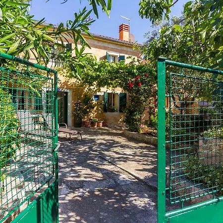 Tatil Evi Regi House *
