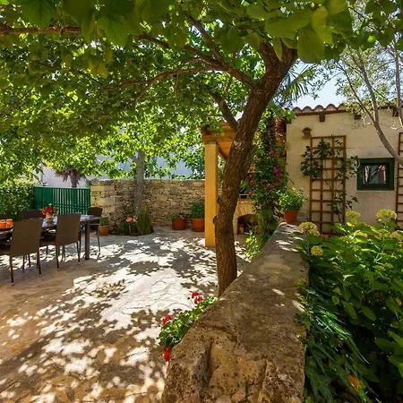 Tatil Evi Regi House